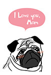 パグ「I Love you,Mom」
