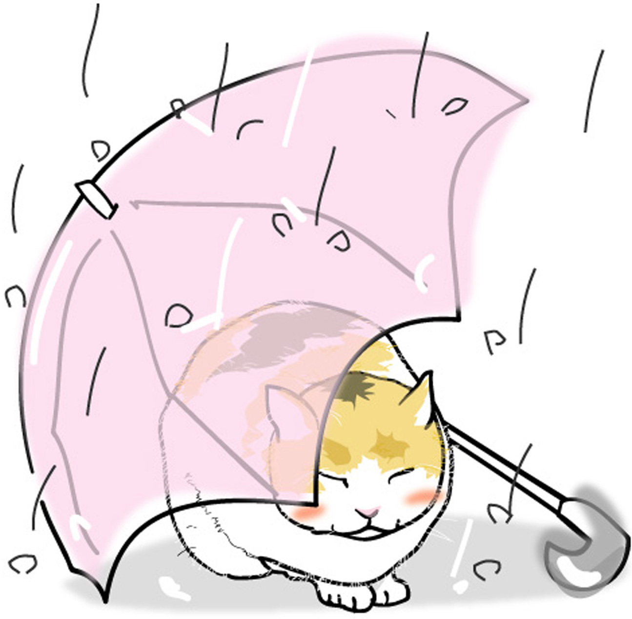 猫が雨の日に暴れる理由3つ | ねこちゃんホンポ