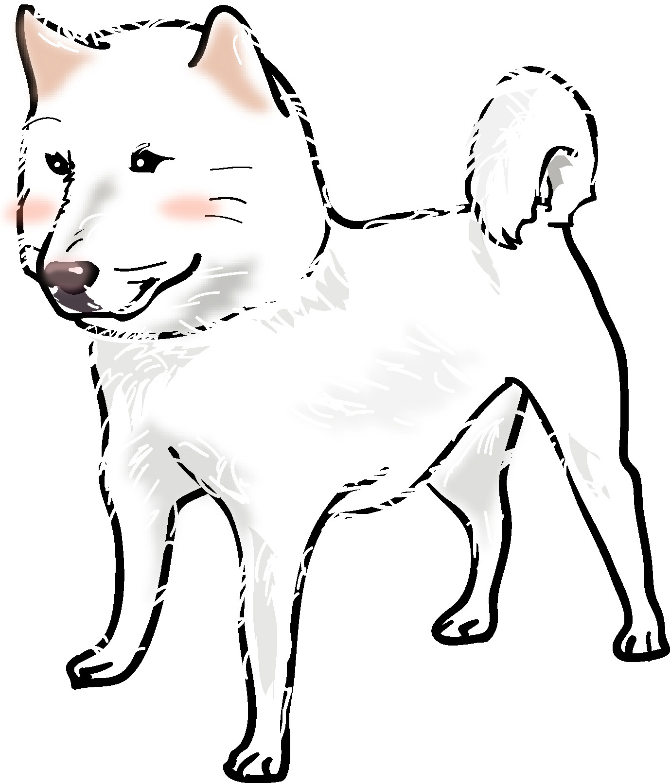 秋田犬 ダウンロード かわいい無料イラスト 印刷素材 Net