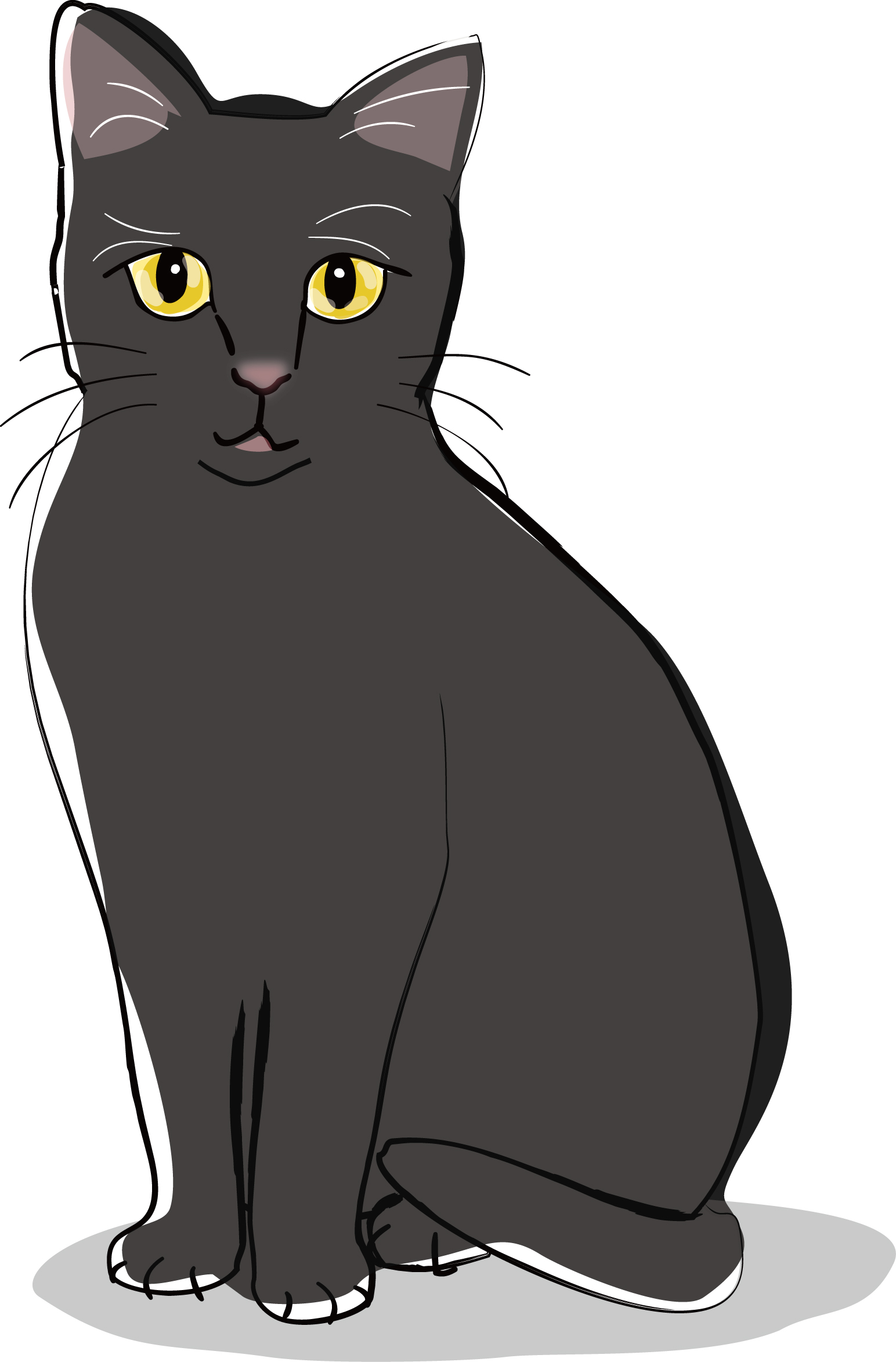 美人な黒猫 ダウンロード かわいい無料イラスト 印刷素材 Net