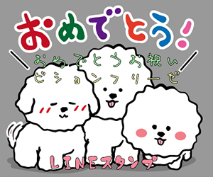 おめでとうお祝いビションフリーゼLINEスタンプ