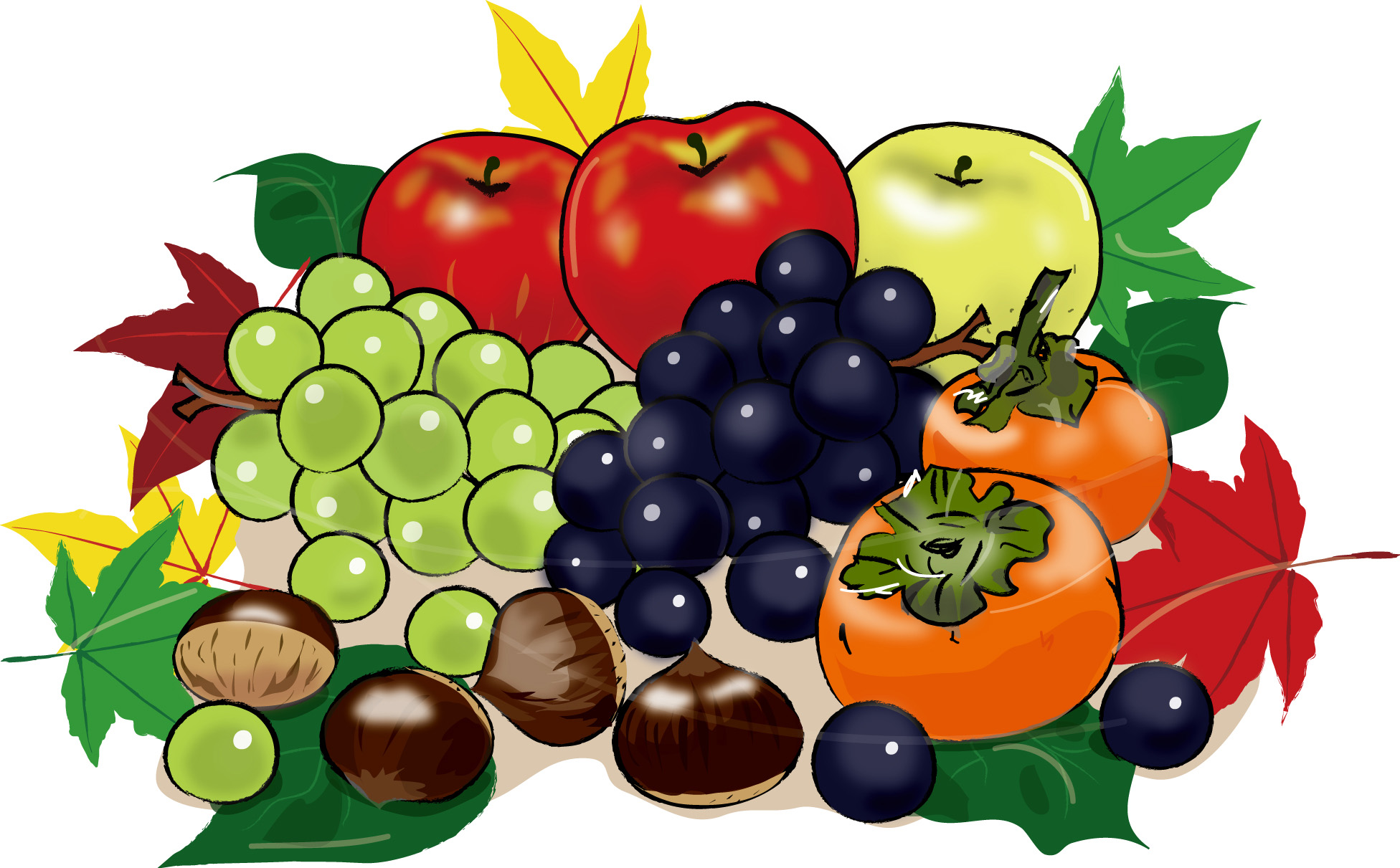 秋の印刷用イラスト素材 秋 食べ物の素材 秋の果物1 ダウンロード